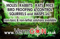 VermGON Pest Management   Pest Control Services 373388 Image 1